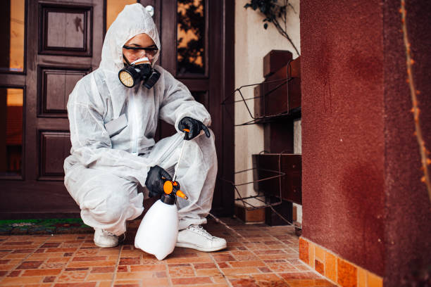 Reliable Cockroach Control contractor in Clarksville, IA by Nex Pest Control
