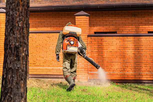 Trusted Rodent Control service in Clarksville, IA - Nex Pest Control